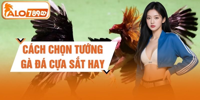 Cách Chọn Tướng Gà Đá Cựa Sắt Hay Tăng Tỷ Lệ Lên 80%