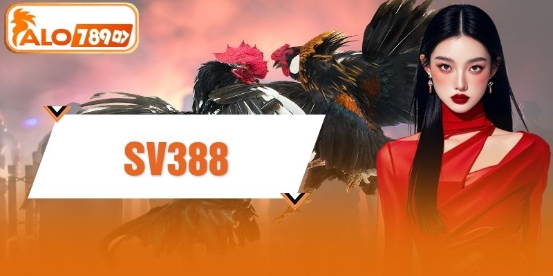 Theo Dõi SV388 - Điểm Hẹn Uy Tín Quy Tụ 10+ Sới Gà Đỉnh Cao