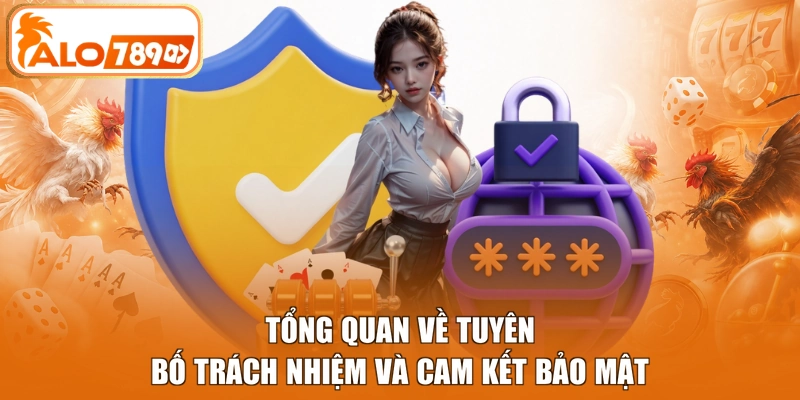 Tổng quan về tuyên bố trách nhiệm và cam kết bảo mật